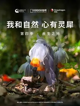 《我和自然 心有灵犀》第四季：共生之地 - 探索人与自然的和谐奥秘